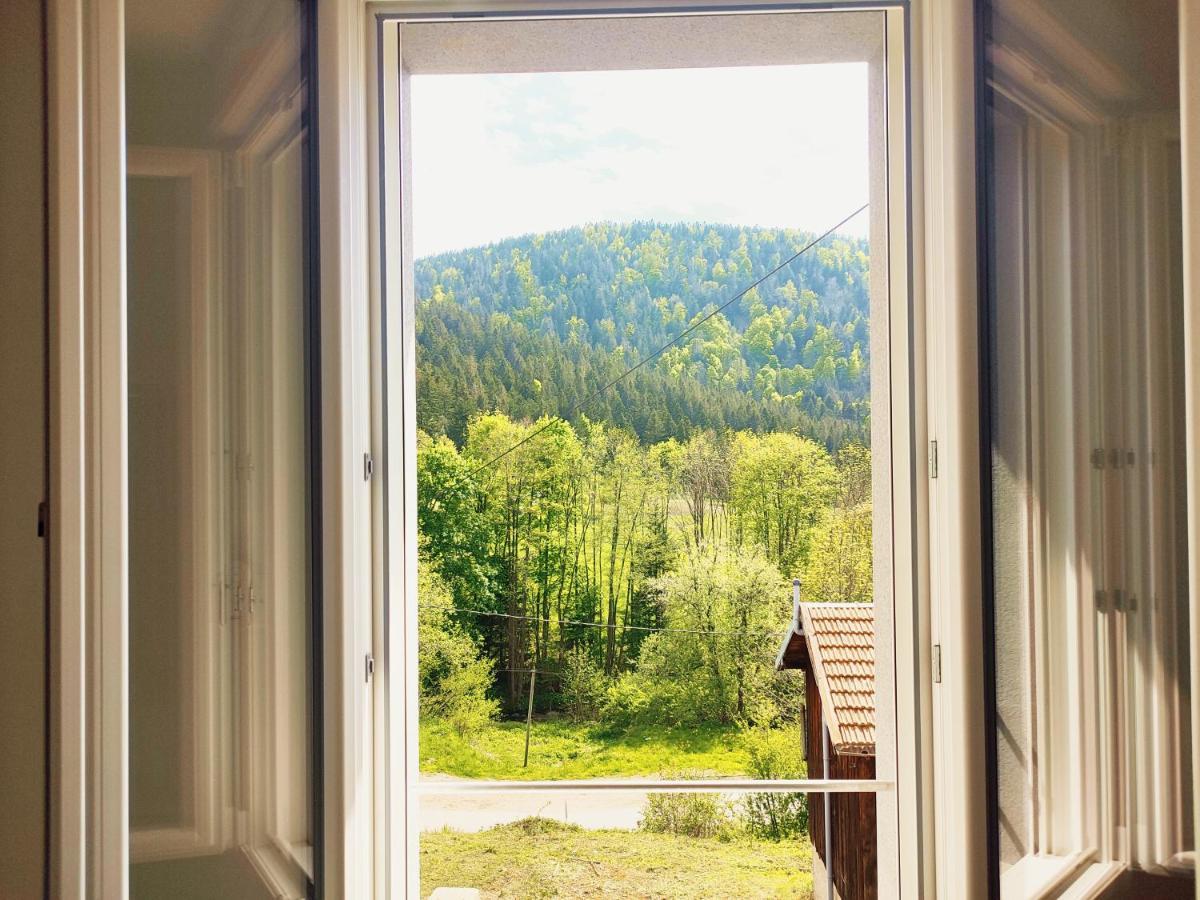 ⁂⁂ Le Chamois Appartement Cledicihome / Magnifique Vue Sur Les Montagnes / 4 Kms De Gerardmer ! ⁂⁂ Rochesson Εξωτερικό φωτογραφία