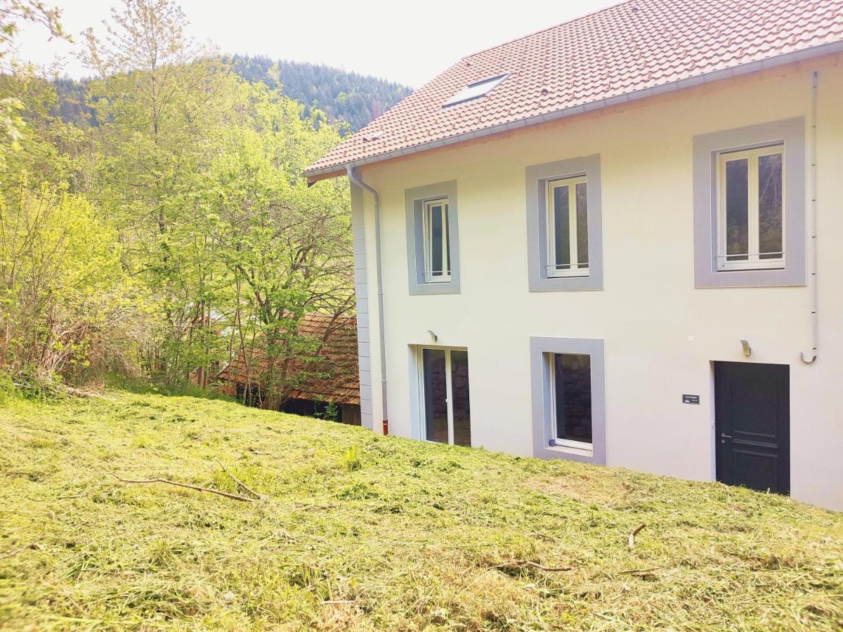 ⁂⁂ Le Chamois Appartement Cledicihome / Magnifique Vue Sur Les Montagnes / 4 Kms De Gerardmer ! ⁂⁂ Rochesson Εξωτερικό φωτογραφία